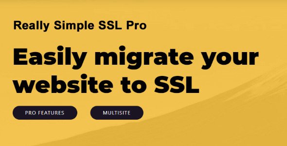 Really Simple SSL Pro.jpg