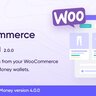 PayMoney - WooCommerce Addon