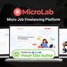 MicroLab - Micro Job Freelancing Platform