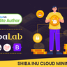 ShibaLab - Shiba Inu Cloud Mining Platform